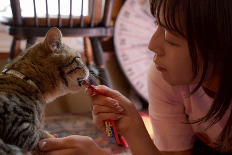 アトリエ高菜先生